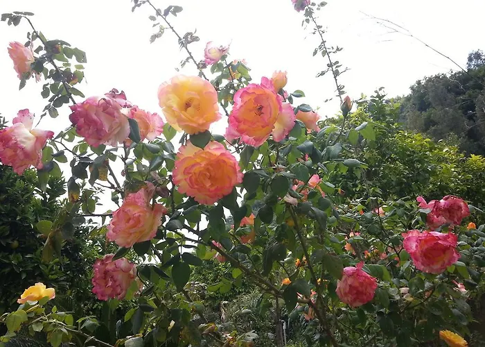 Mare Taormina Letojanni